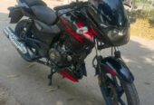 Pulsar DD 2019 Model