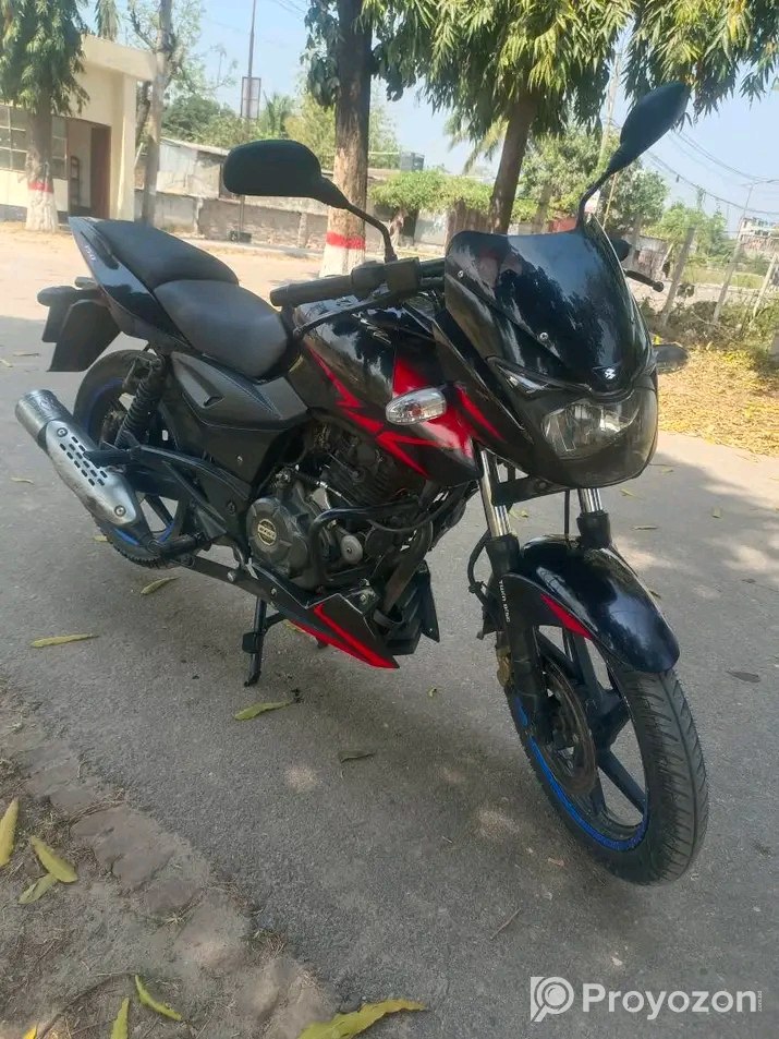Pulsar DD 2019 Model