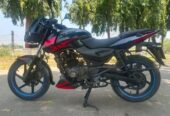 Pulsar DD 2019 Model