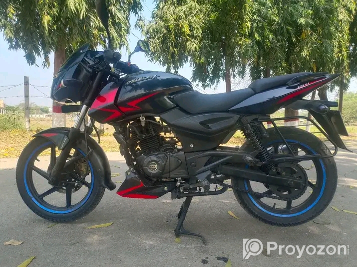 Pulsar DD 2019 Model