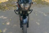Pulsar DD 2019 Model
