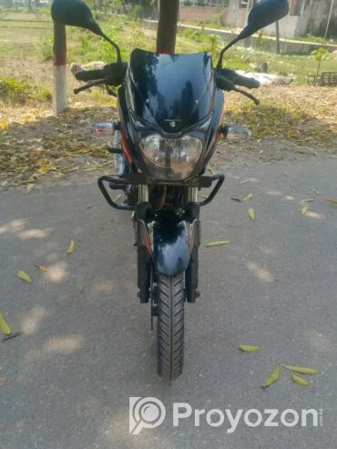 Pulsar DD 2019 Model