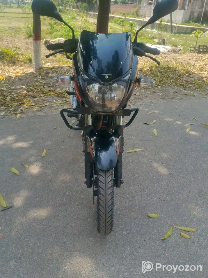 Pulsar DD 2019 Model