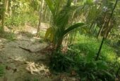 বসত বাড়ীর বাগান বিক্রি হবে