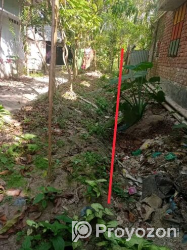 বসত বাড়ীর বাগান বিক্রি হবে