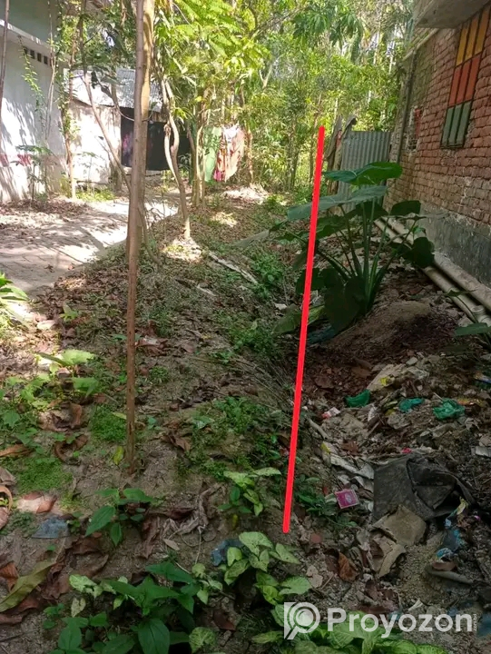 বসত বাড়ীর বাগান বিক্রি হবে