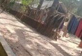 বসত বাড়ীর বাগান বিক্রি হবে