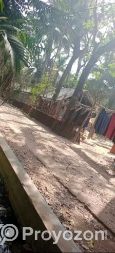 বসত বাড়ীর বাগান বিক্রি হবে