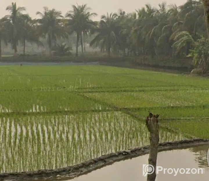 মৎস্য খামার একসঙ্গে অথবা প্লট আকারে বিক্রয় হইবে।