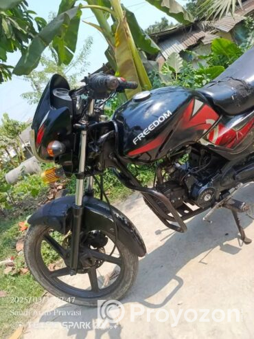 freedom Royal,100cc self start
