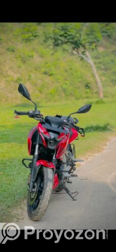 Pulsar N250 250cc বাইক বিক্রয় হবে