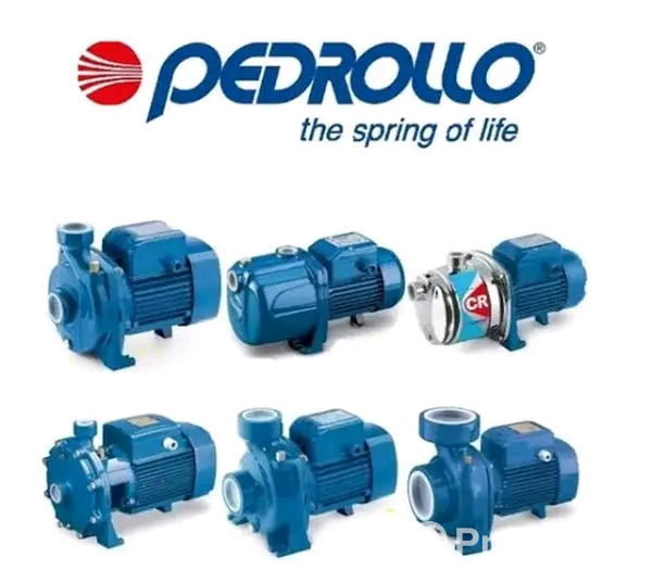 Pedrollo pump Sales post