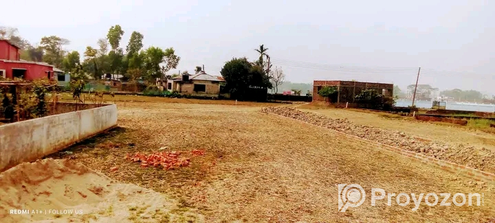 সুইজারল্যান্ড থেকে আমদানিকৃত হাই কোয়ালিফাই