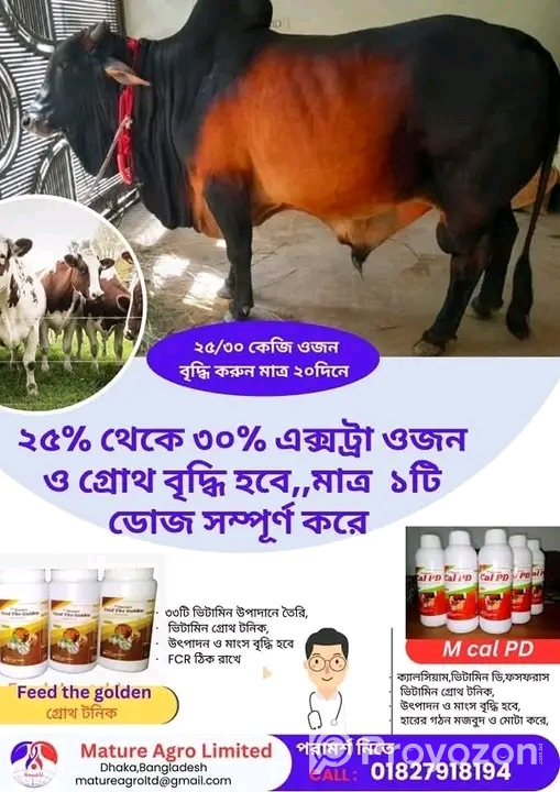 আপনি কি দ্রত গরু মোটাতাজা করবেন??