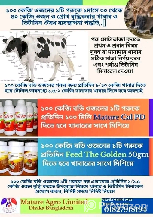 আপনি কি দ্রত গরু মোটাতাজা করবেন??