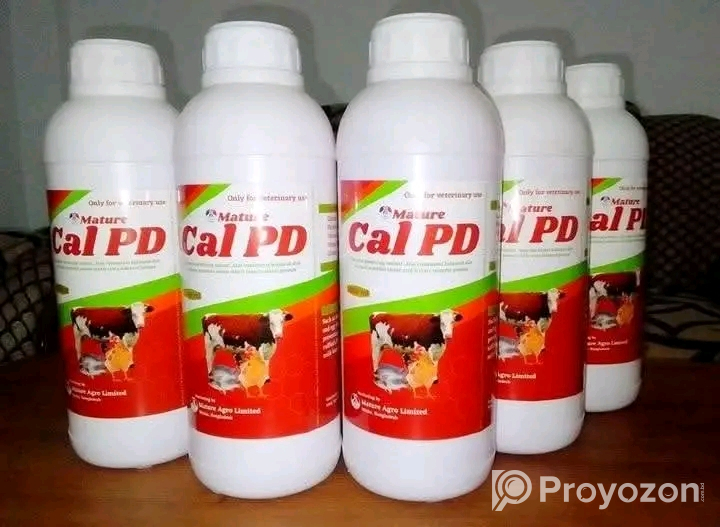 আপনি কি দ্রত গরু মোটাতাজা করবেন??