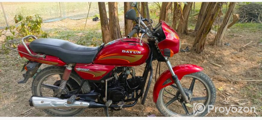 Sport 100cc Dayun Bike