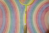 Tiya colour badminton sell dibo