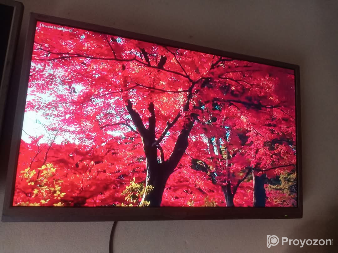 Smart tv / Android tv + goggle voice tv sell dibo