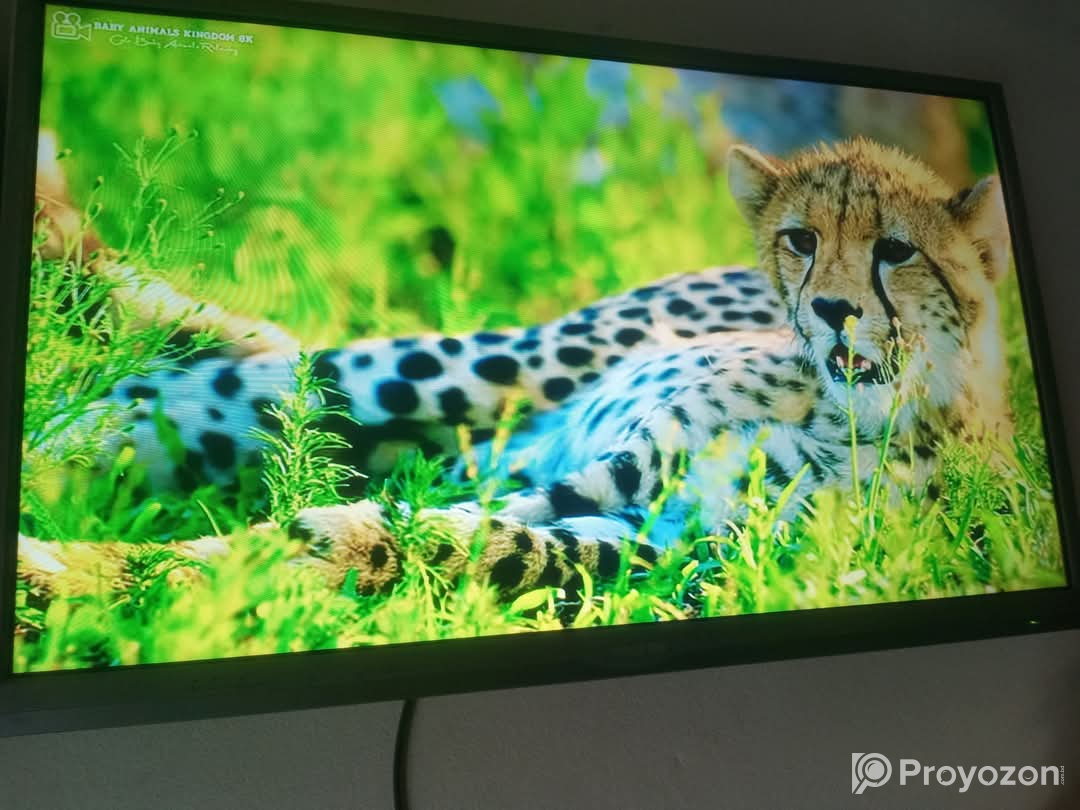 Smart tv / Android tv + goggle voice tv sell dibo