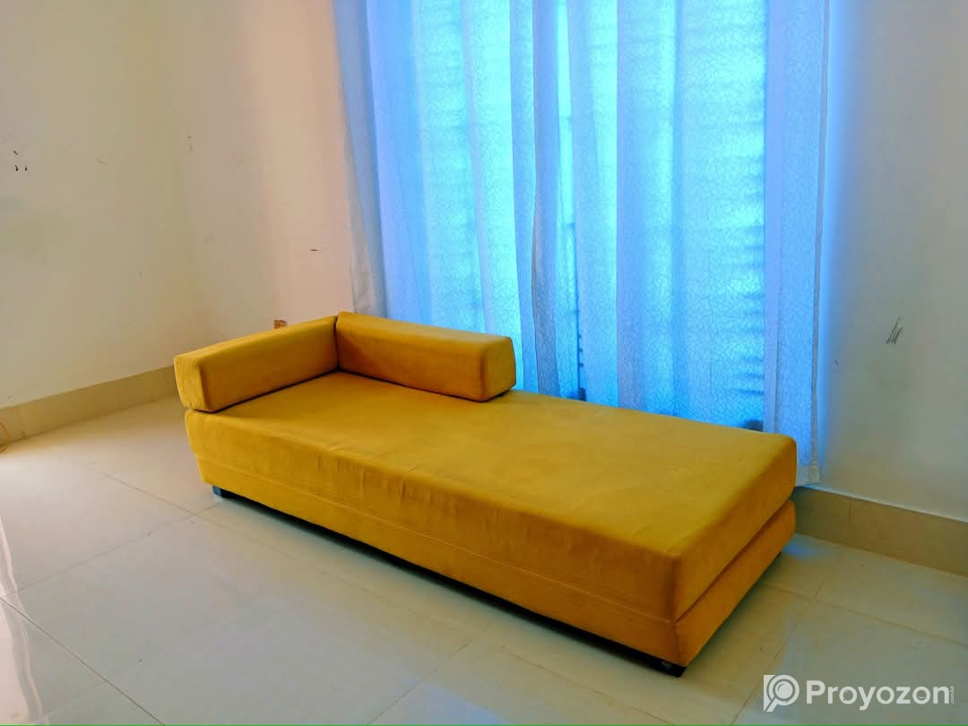 Divan cum bed by Regal Emporium Furniture Size: 5×7′