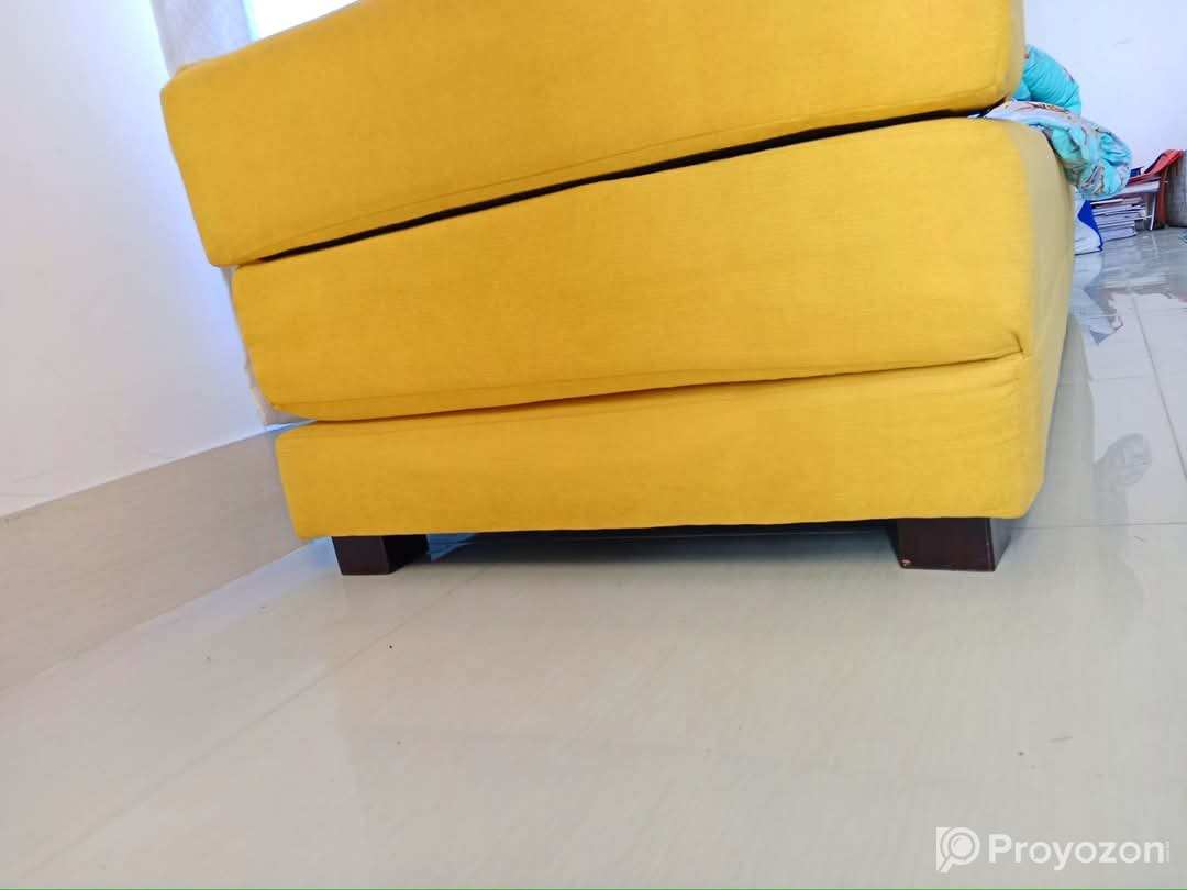 Divan cum bed by Regal Emporium Furniture Size: 5×7′