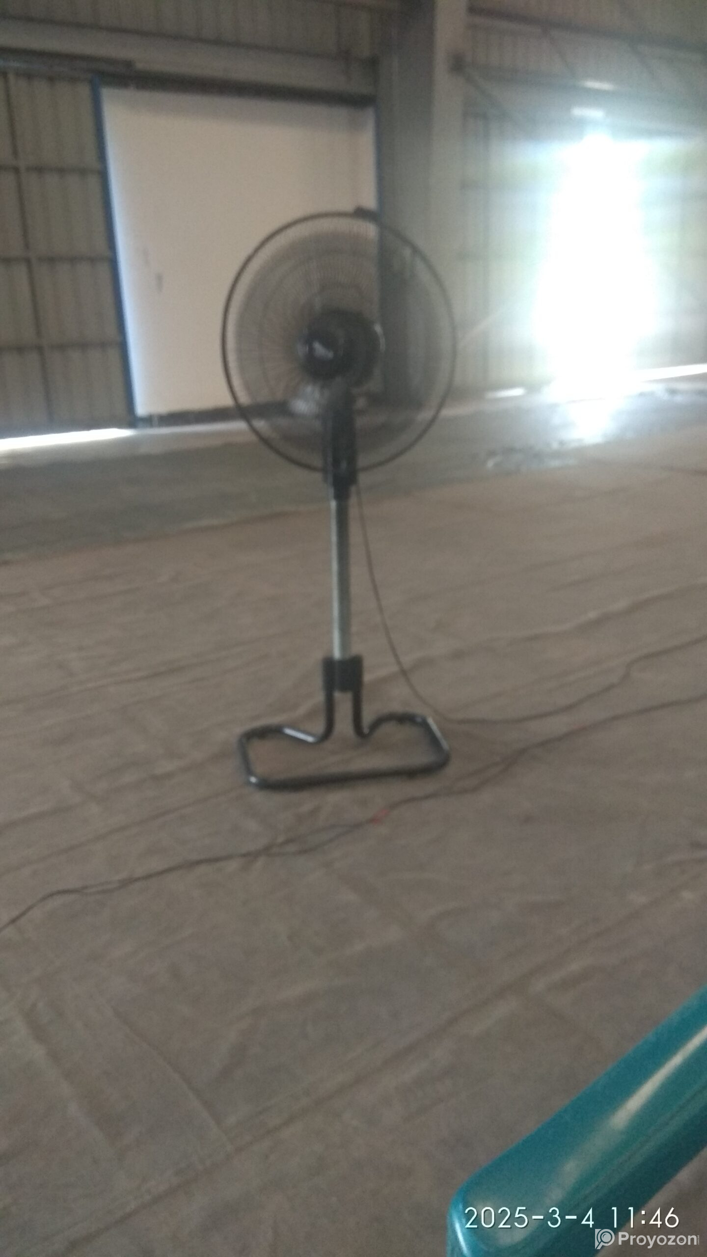 মিরা স্ট্যান্ড ফ্যান