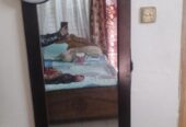 Wall mirror for sell.