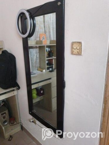 Wall mirror for sell.