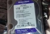 1tb Wd Purple Hdd