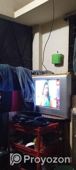 SONY WEGA TV (24″)