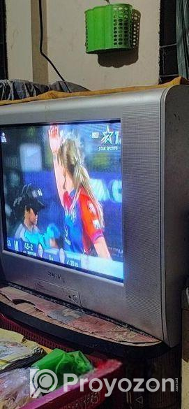 SONY WEGA TV (24″)