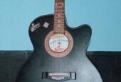 Gitar for sale