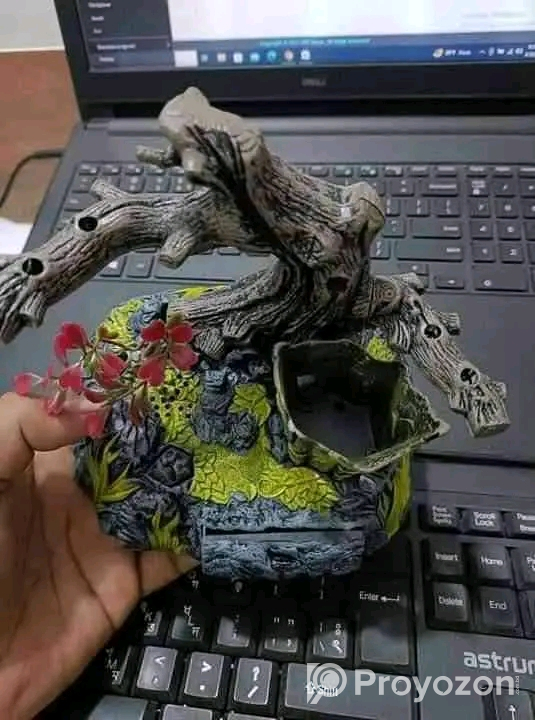 Ensemble Beautiful Birds