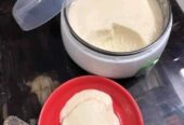 ELECTRIC DOI MEKER (দই মেকার)