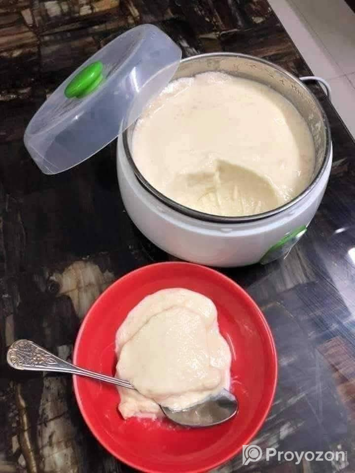 ELECTRIC DOI MEKER (দই মেকার)