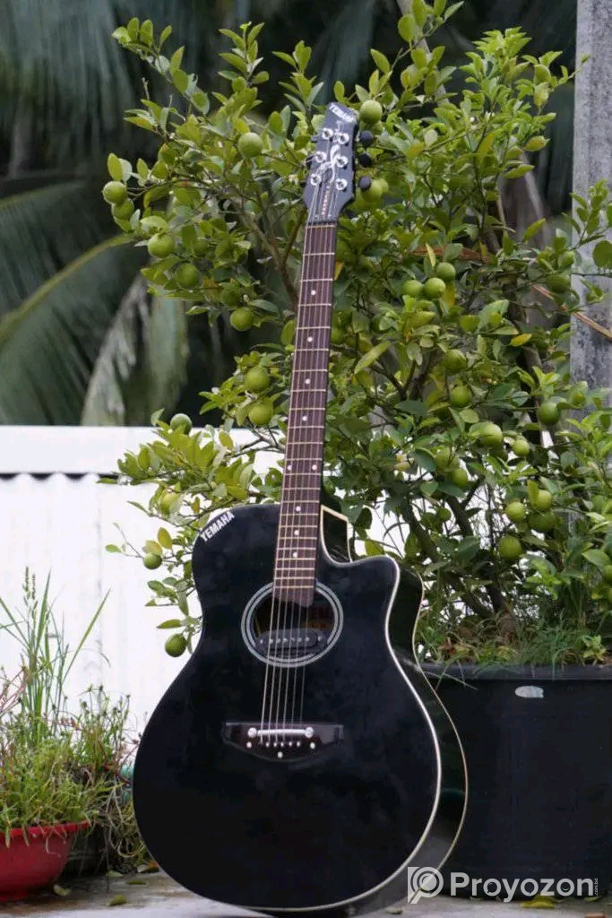 গিটার দুটি বিক্রয় করা হবে।