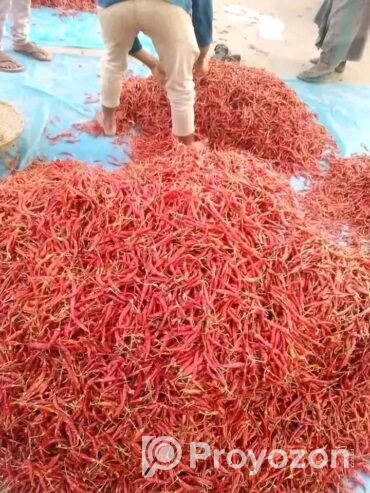 নারিকেল সুপারি কাঁচা হলুদ শুকনা লঙ্কা পাইকারি দামে বিক্রয়