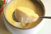 ELECTRIC DOI MEKER (দই মেকার)