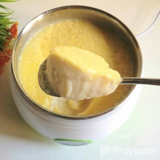 ELECTRIC DOI MEKER (দই মেকার)