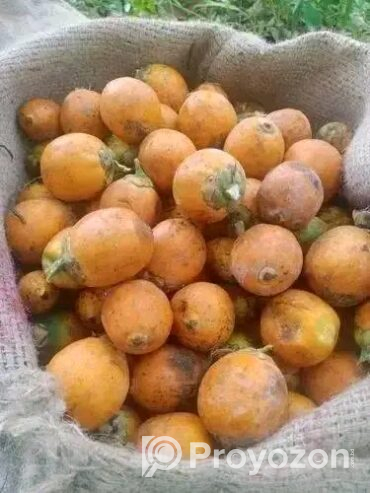 নারিকেল সুপারি কাঁচা হলুদ শুকনা লঙ্কা পাইকারি দামে বিক্রয়