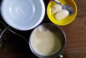 ELECTRIC DOI MEKER (দই মেকার)