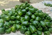 তাজা মরিচ বিক্রি করা হবে