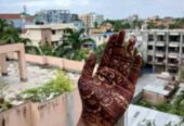 অর্গানিক মেহেদী for sell