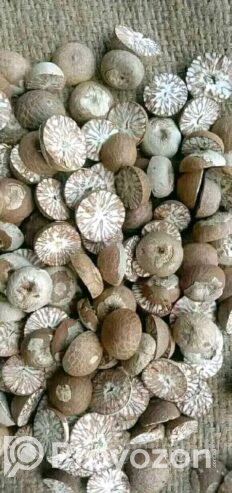 নারিকেল সুপারি কাঁচা হলুদ শুকনা লঙ্কা পাইকারি দামে বিক্রয়