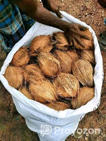 নারিকেল সুপারি কাঁচা হলুদ শুকনা লঙ্কা পাইকারি দামে বিক্রয়