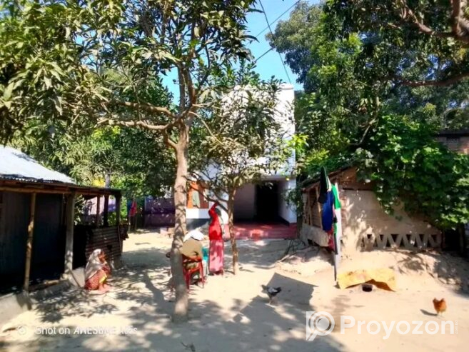 বাসাবাড়ি সহ জমি বিক্রি হবে।
