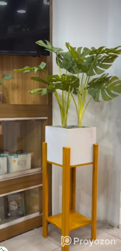 সোপিসটি বিক্রি করা হবে।