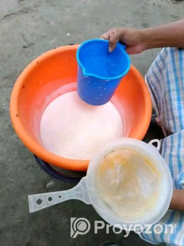 খাঁটি_গরুর_দুধ বিক্রি হবে