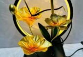 Waterfall fountain LED ring light sell kora hbe